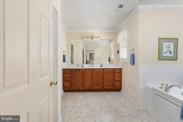 155 BUNCHBERRY RIDGE CT, Stephens City, VA 22655