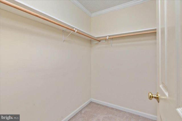155 BUNCHBERRY RIDGE CT, Stephens City, VA 22655