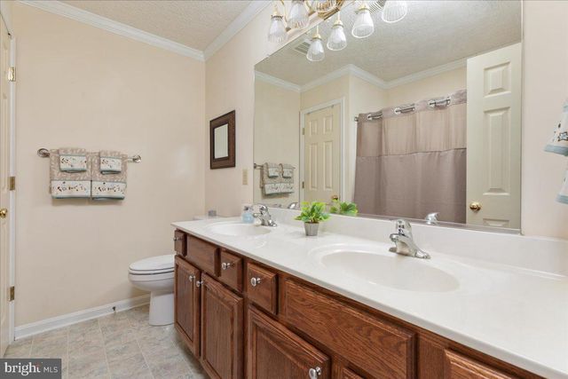 155 BUNCHBERRY RIDGE CT, Stephens City, VA 22655