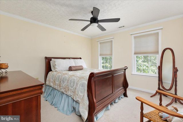 155 BUNCHBERRY RIDGE CT, Stephens City, VA 22655