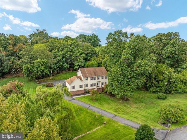 155 BUNCHBERRY RIDGE CT, Stephens City, VA 22655