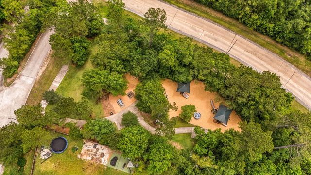 10 Latticeleaf Place, The Woodlands, TX 77382