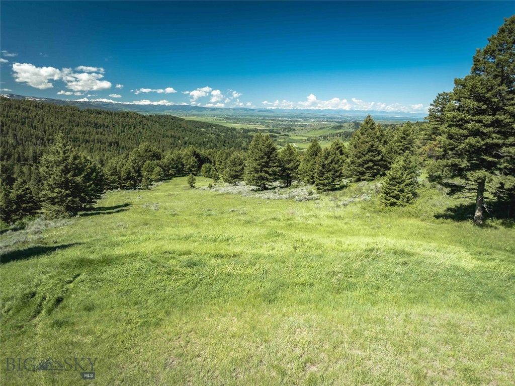 Ranch 5 North Pass Ranches, Bozeman, MT 5971 photo 5