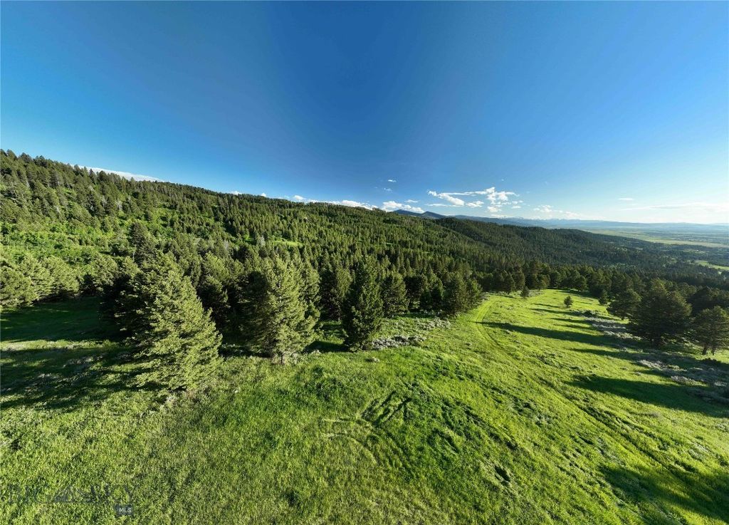 Ranch 5 North Pass Ranches, Bozeman, MT 5971 photo 7