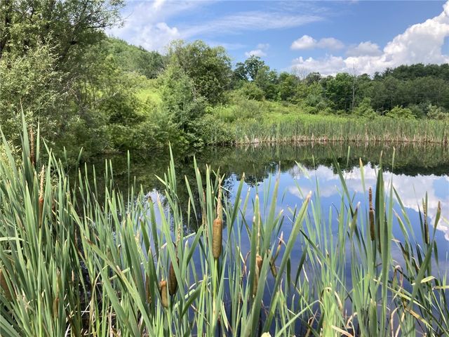 751 County Road 17, Bainbridge, NY 13733