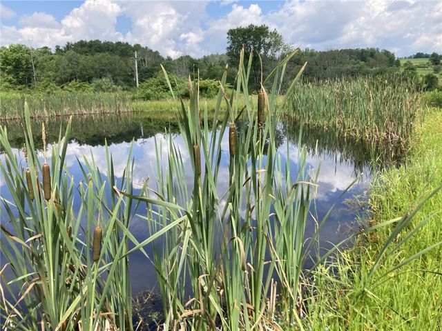 751 County Road 17, Bainbridge, NY 13733