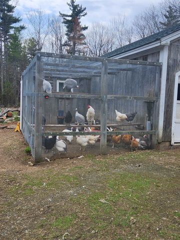 27 Bear Pond Road, Canaan, NH 03741
