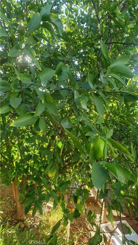 12117 Van Nuys, Sylmar, CA 91342