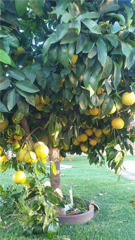 12117 Van Nuys, Sylmar, CA 91342