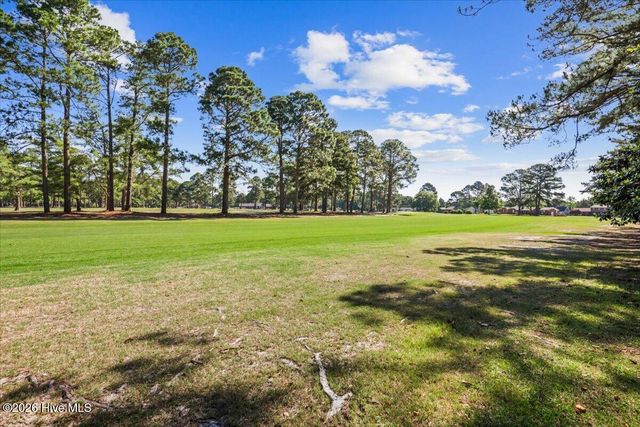 206 Ramblewood Drive, Mount Olive, NC 28365