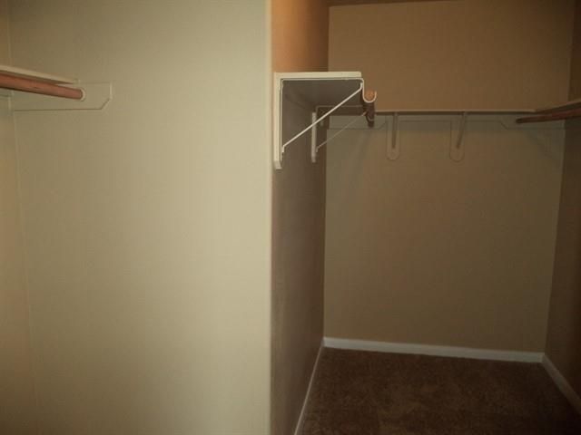 2903 Windy Hollow Lane, League City, TX 77539