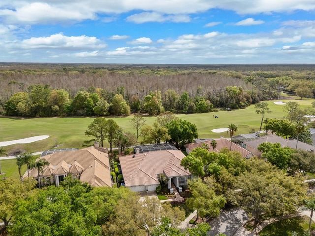 17815 OSPREY POINTE PLACE, Tampa, FL 33647