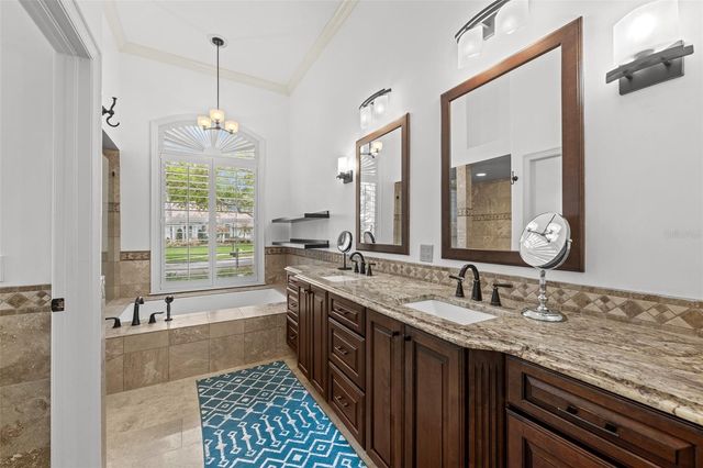 17815 OSPREY POINTE PLACE, Tampa, FL 33647