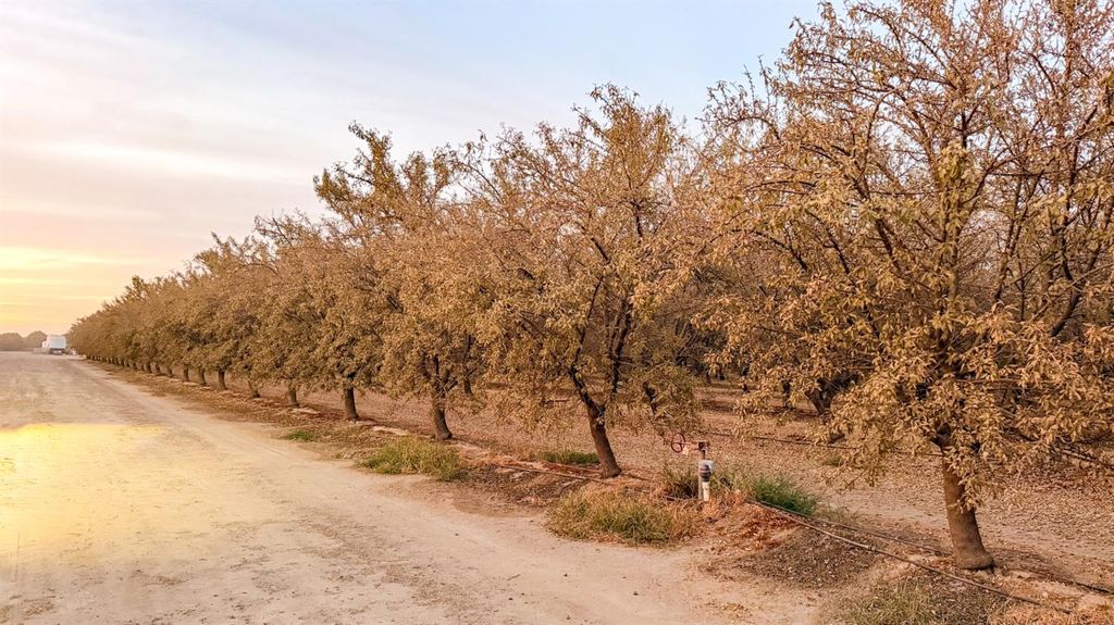 Image 37 of property listing at 1 Avenue 120, Tipton, CA 93272