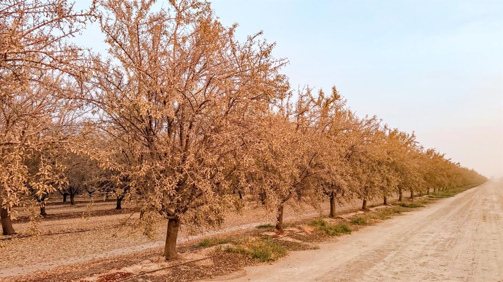 Image 38 of property listing at 1 Avenue 120, Tipton, CA 93272