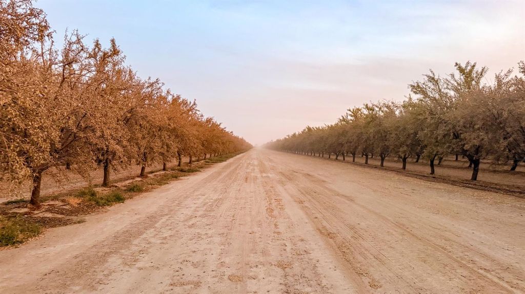 Image 39 of property listing at 1 Avenue 120, Tipton, CA 93272