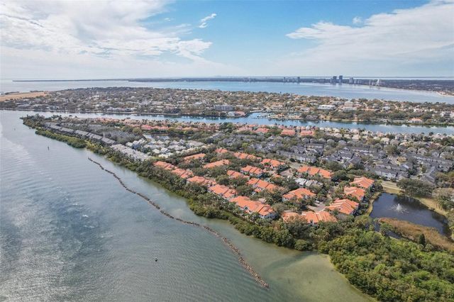 602 SEABREEZE COURT, Tampa, FL 33602