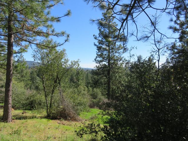 201 Sierra Madre Rd, Rail Road Flat, CA 95248