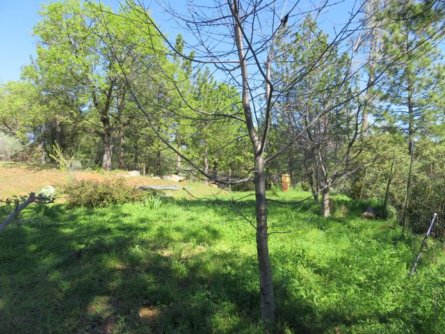 201 Sierra Madre Rd, Rail Road Flat, CA 95248