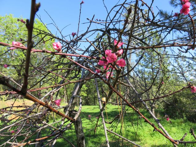 201 Sierra Madre Rd, Rail Road Flat, CA 95248