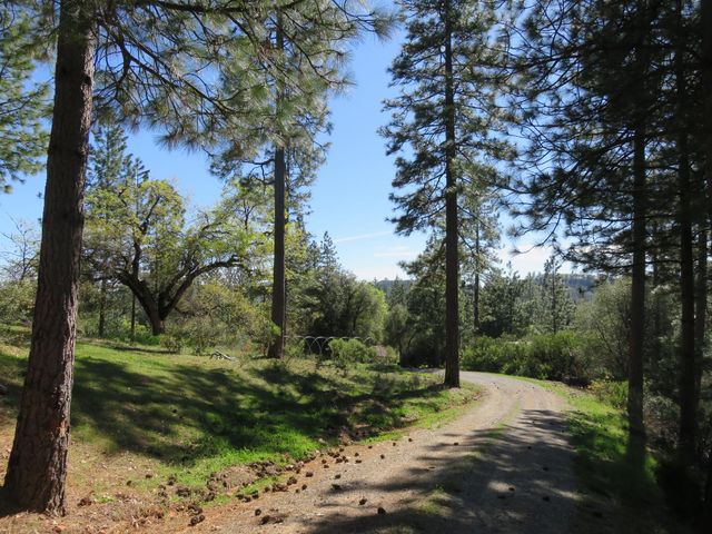 201 Sierra Madre Rd, Rail Road Flat, CA 95248