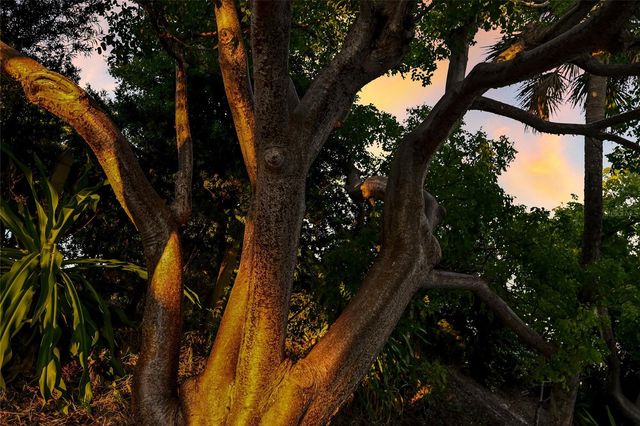 1660 16TH STREET E, Boca Grande, FL 33921