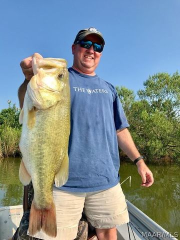 63 Boardwalk ., Pike Road, AL 36064