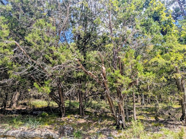 108 Appaloosa Drive, Holiday Island, AR 72631