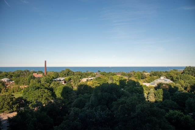 2144 N Lincoln Park W 12C, Chicago, IL 60614