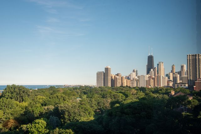 2144 N Lincoln Park W 12C, Chicago, IL 60614