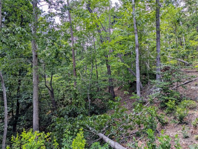 201 Smoky Mountain Drive, Marion, NC 28752