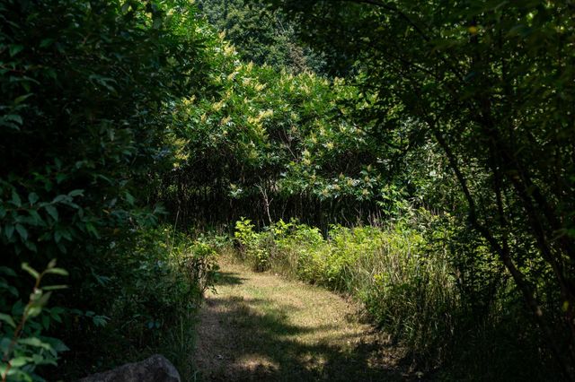 731 N Rolland Road, Sherman Twp, MI 48893