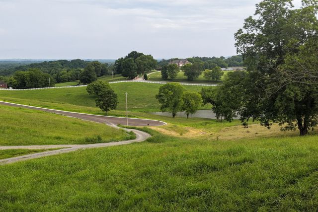 0 Skyridge Subdivision, Wartrace, TN 37183