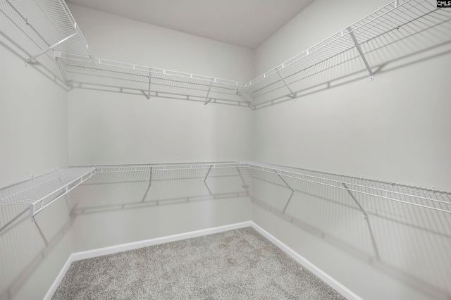 302 Balbriggan Place, Aiken, SC 29801