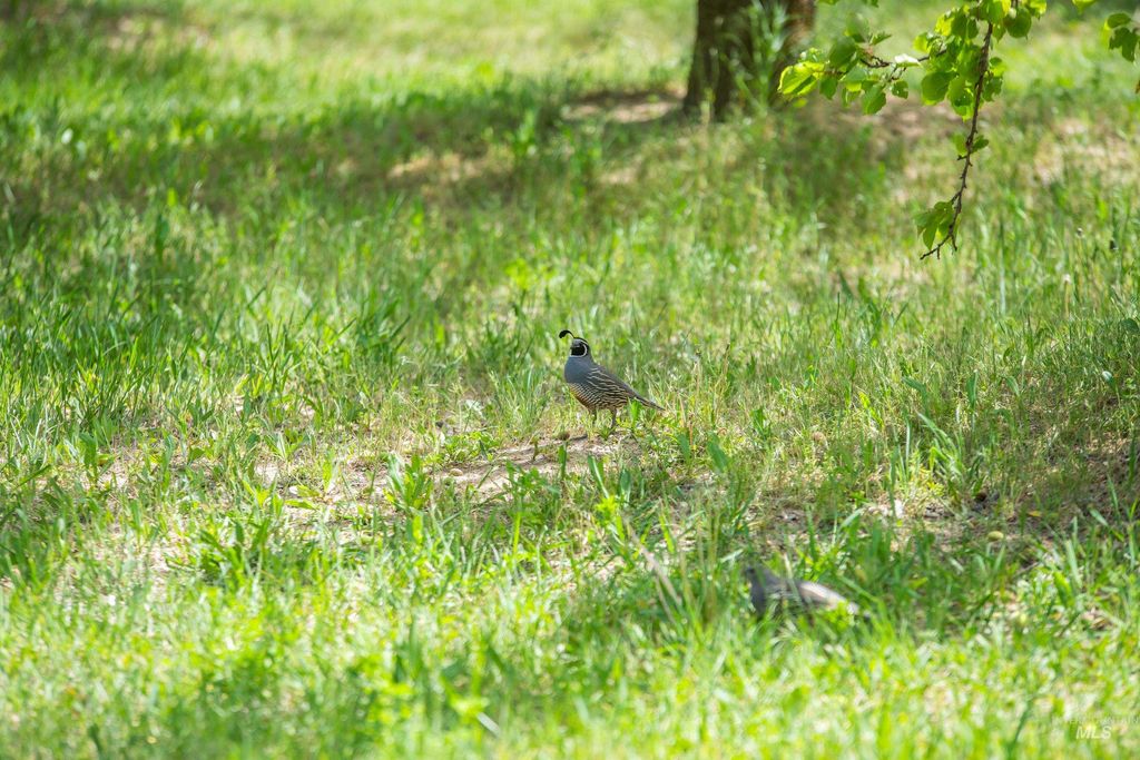 13005 Lake Shore Dr., Nampa, ID 83686 photo 8