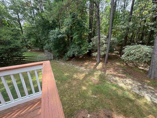 116 Rum Gully Lane, Chapin, SC 29036