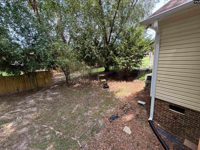 116 Rum Gully Lane, Chapin, SC 29036