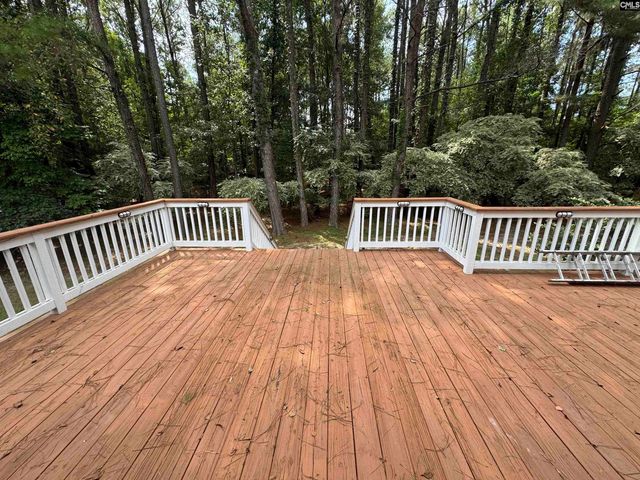 116 Rum Gully Lane, Chapin, SC 29036