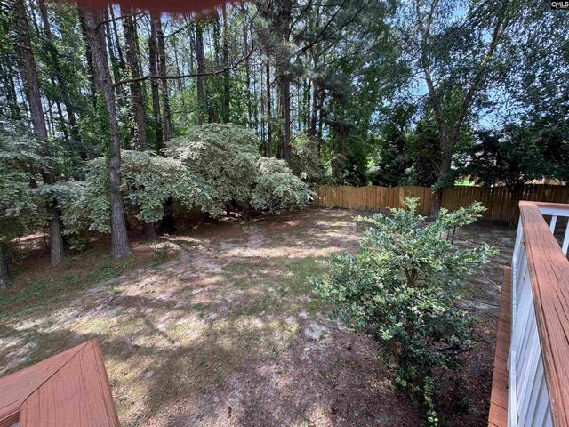 116 Rum Gully Lane, Chapin, SC 29036