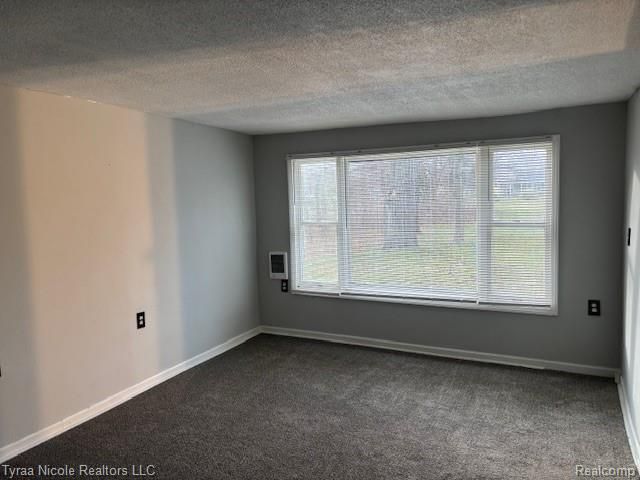 6357 Denton Road, Belleville, MI 48111