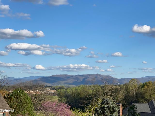 2308 Granite Drive, Johnson City, TN 37604