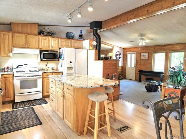 277 Cherokee Drive, Florissant, CO 80816