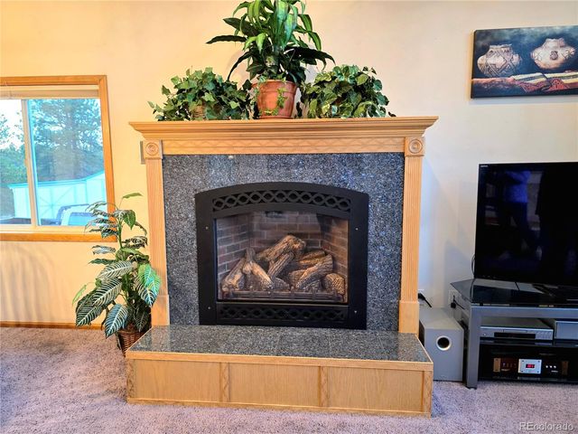 277 Cherokee Drive, Florissant, CO 80816