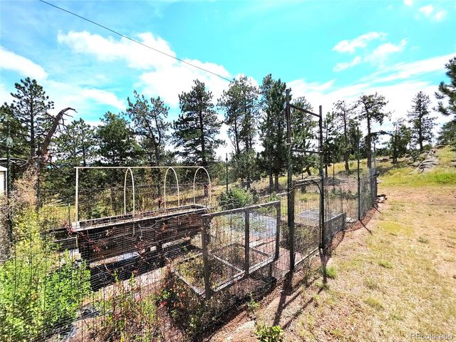 277 Cherokee Drive, Florissant, CO 80816