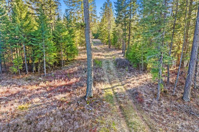 12818 E Bridges Rd, Elk, WA 99009