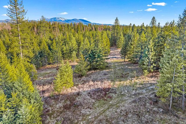 12818 E Bridges Rd, Elk, WA 99009