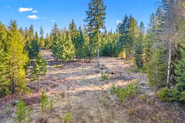 12818 E Bridges Rd, Elk, WA 99009