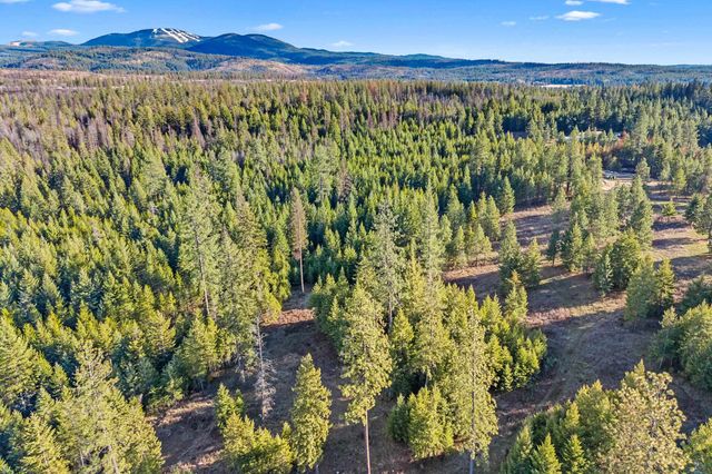 12818 E Bridges Rd, Elk, WA 99009