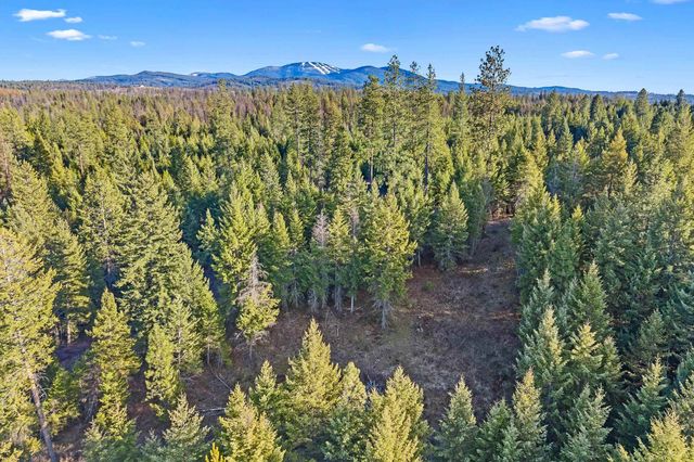 12818 E Bridges Rd, Elk, WA 99009