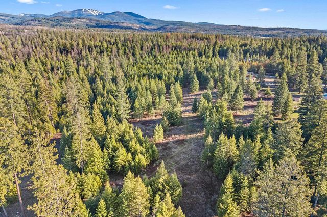 12818 E Bridges Rd, Elk, WA 99009